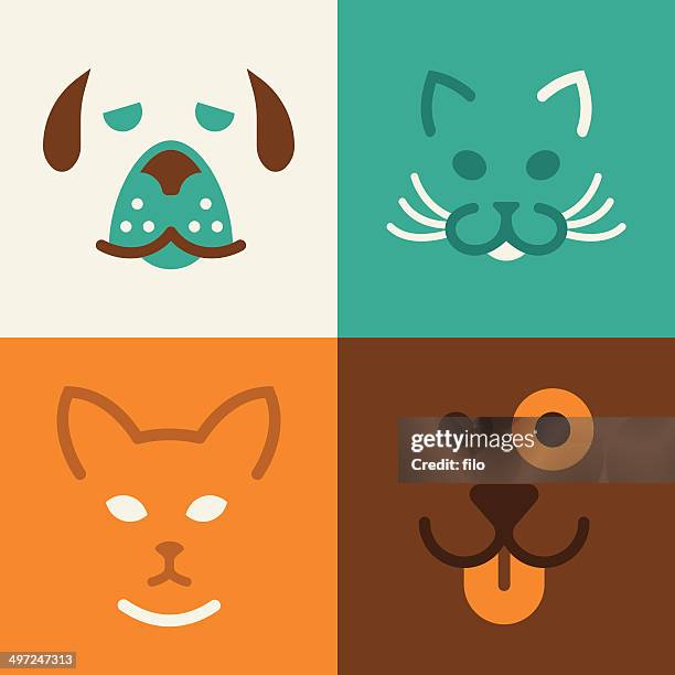 Pet Nina - PETSHOP DE TESTE